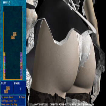 Erotic Tetris