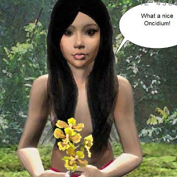 Island Girl
