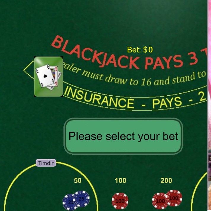 Blackjack with Charming Mari